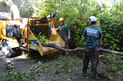 tree services Atherton